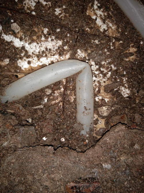 宁明堵点精准查找